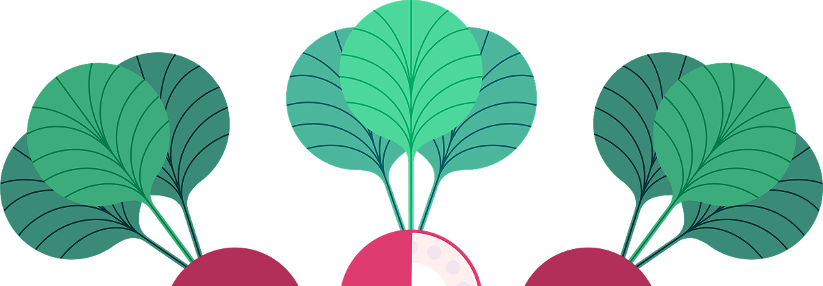 Food sharing illustration