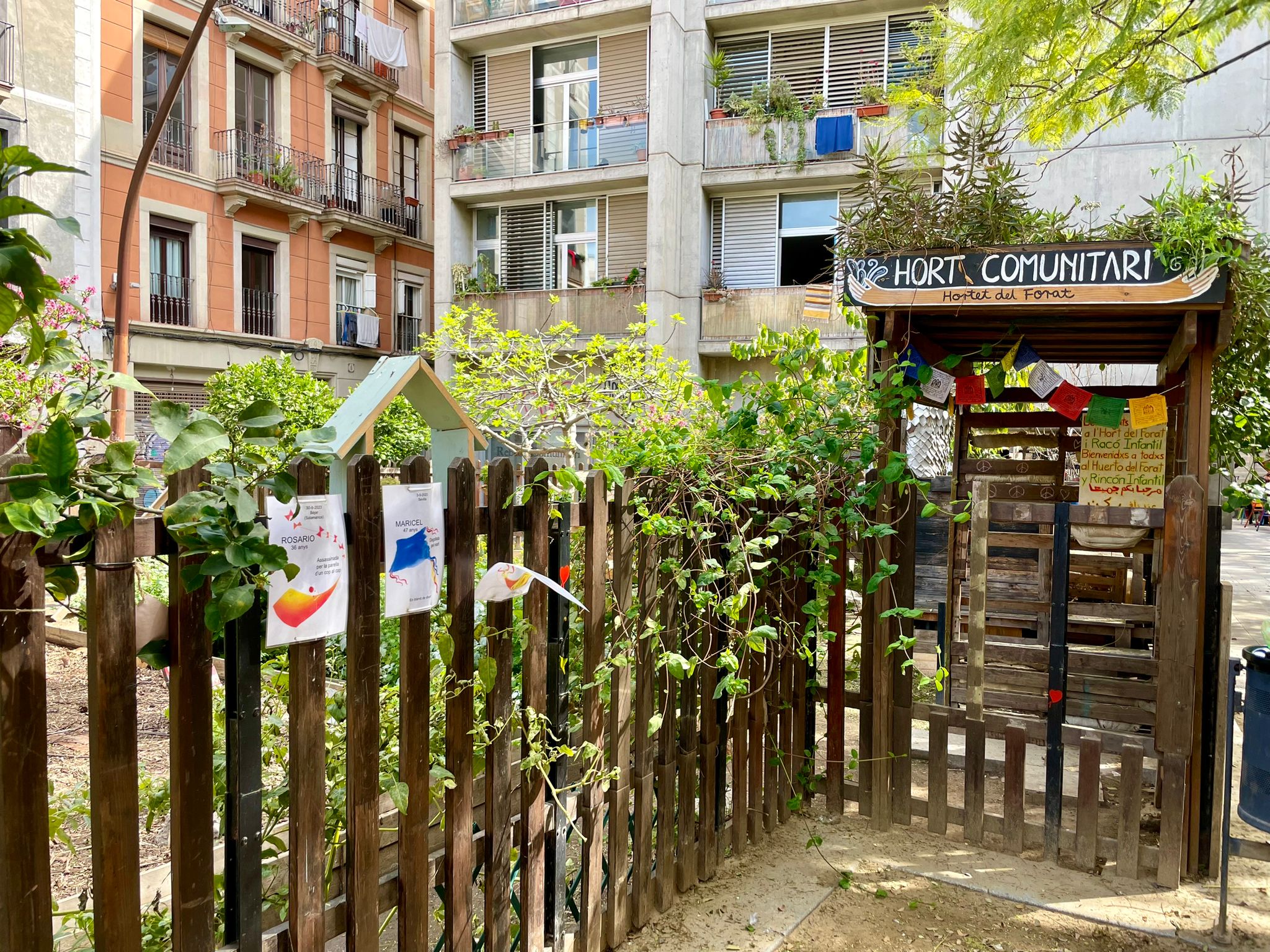 Squatted community gardens at the Hole of Shame, central Barcelona.