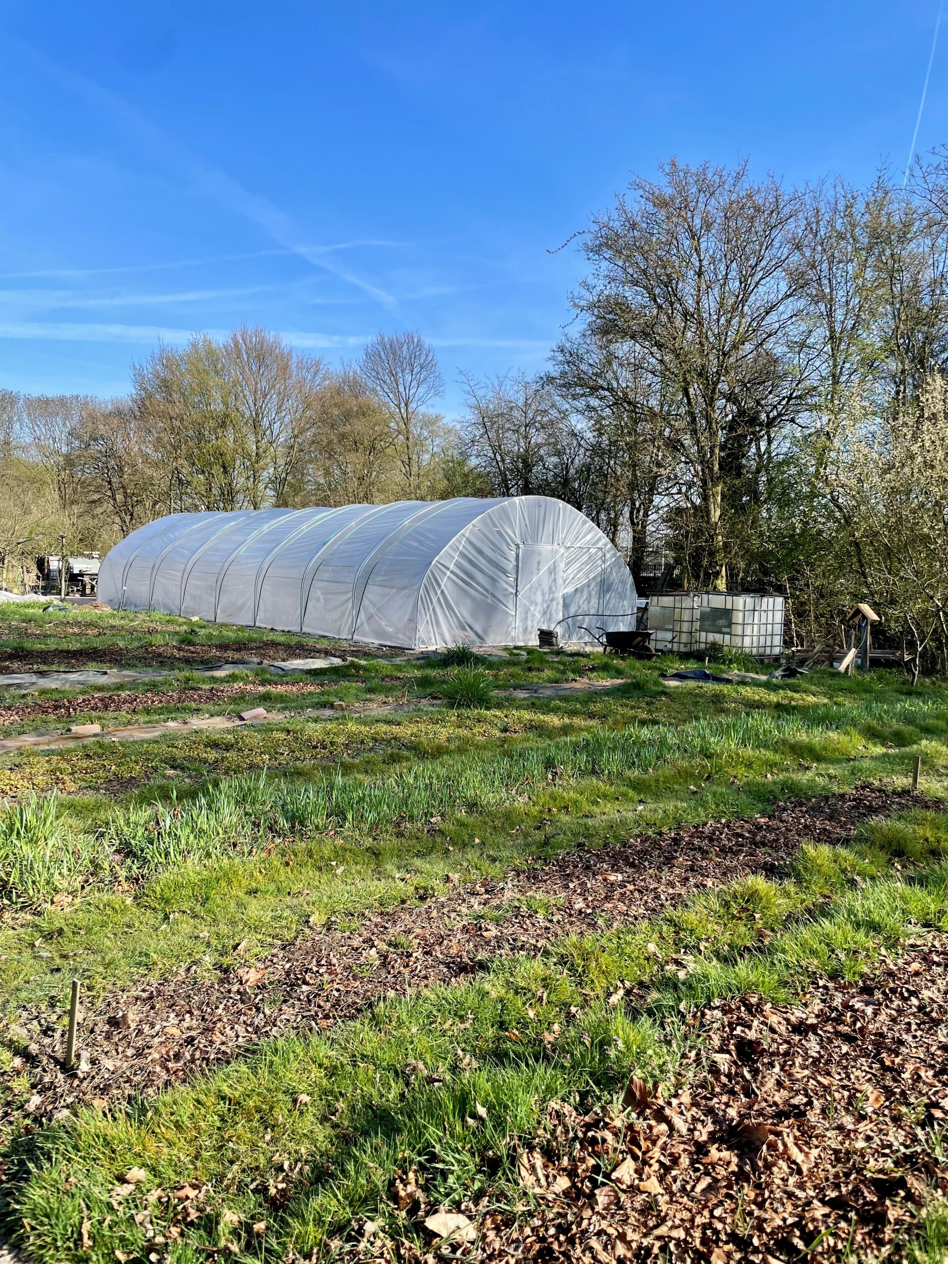 herapeutic urban garden Food for Good in Utrecht, which combines rehabilitation, community volunteering and small-scale food production